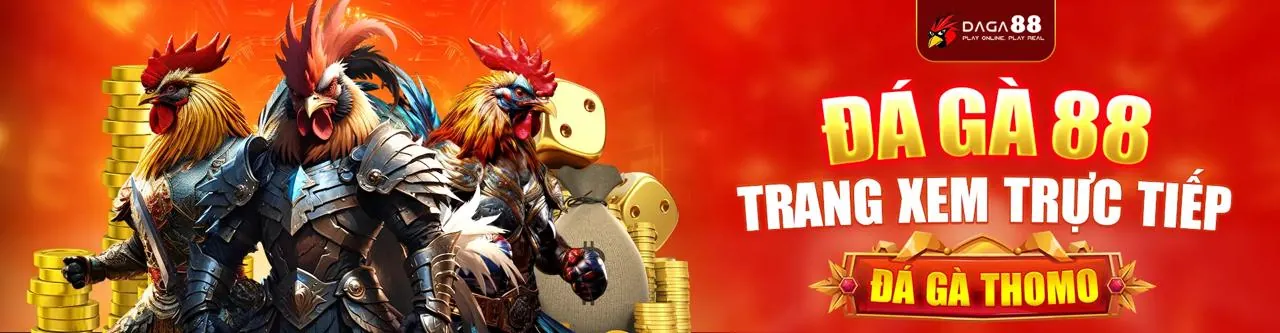 Đá Gà Thomo 88 Trực Tiếp Hấp Dẫn