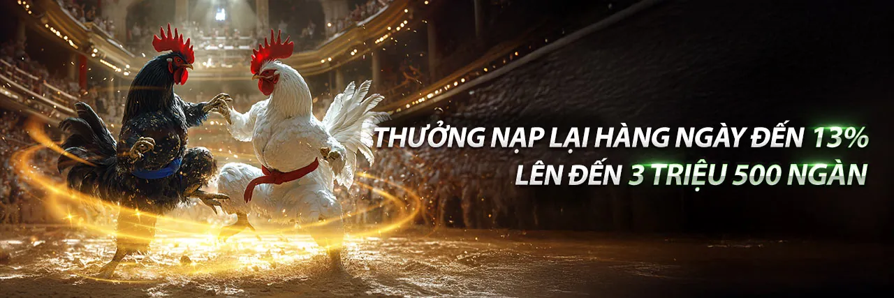 Kinh nghiệm chọn gà chiến thắng