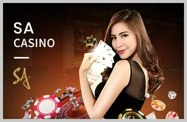 Cá cược quần vợt tại đá gà thomo 88